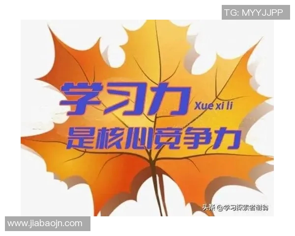 张伟独家篮球心得分享：从基础技巧到实战经验的全面解析与提升之道