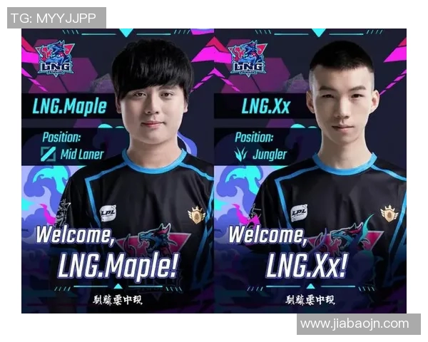 LNG战队在职业联赛中的团队协作表现分析与评价